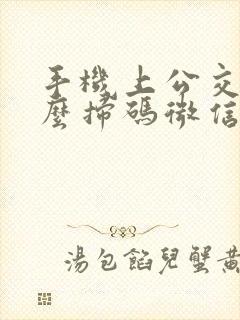 手机上公交车怎么扫码微信