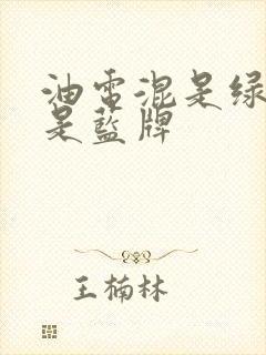 油电混是绿牌还是蓝牌