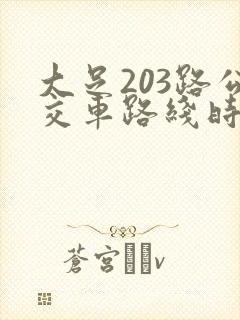 大足203路公交车路线时间表