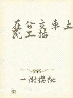 在公交车上被农民工插