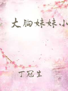大胸妹妹小说