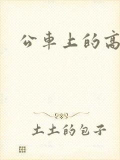 公车上的高h