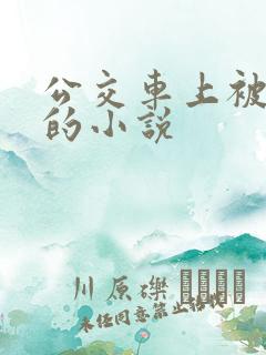 公交车上被插入的小说