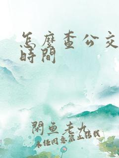 怎么查公交到站时间