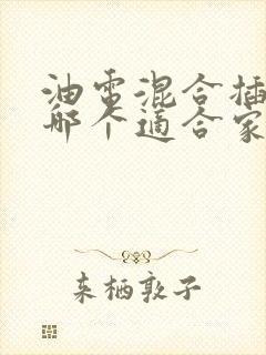 油电混合插电混哪个适合家用