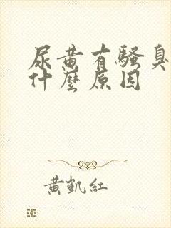 尿黄有骚臭味是什么原因