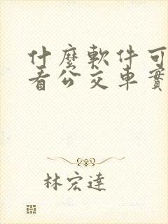 什么软件可以查看公交车实时位置
