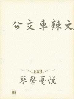 公交车辣文系列