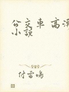 公交车 高潮 小说