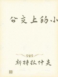 公交上的小说