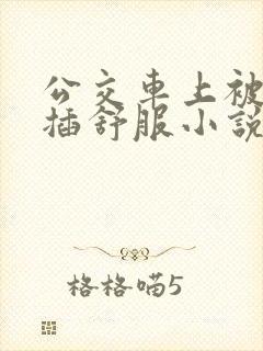 公交车上被摸被插舒服小说
