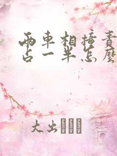 两车相撞责任各占一半怎么赔