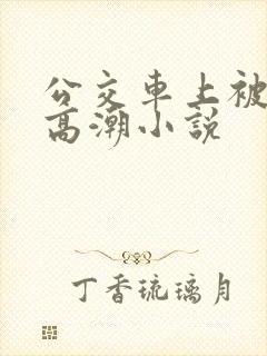 公交车上被插到高潮小说