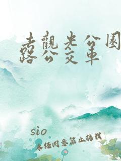 去观光公园坐几路公交车