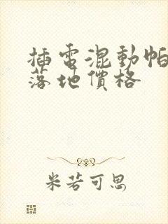 插电混动帕萨特落地价格