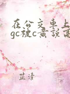 在公交车上嗯啊gc被c黄说高h