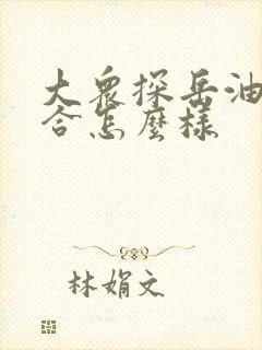 大众探岳油电混合怎么样