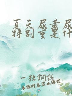 夏天尿黄尿骚味特别重是什么原因
