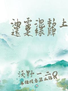 油电混动上蓝牌还是绿牌