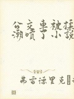 公交车被揉到高潮喷了小说