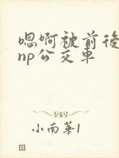 嗯啊被前后夹击np公交车