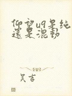 仰望u9是纯电还是混动