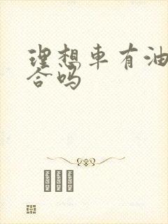 理想车有油电混合吗