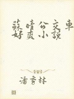 苏晴公交车被强好爽小说