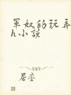 军奴的玩弄调教h小说