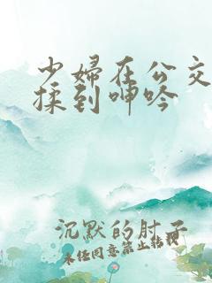 少妇在公交车被揉到呻吟