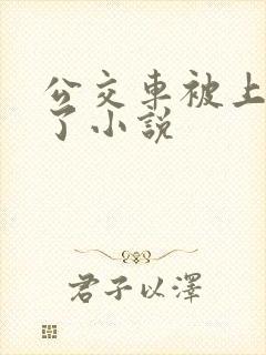 公交车被上高潮了小说