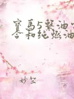 宝马5系油电混合和纯燃油哪个好