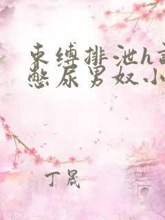 束缚排泄h调教憋尿男奴小说