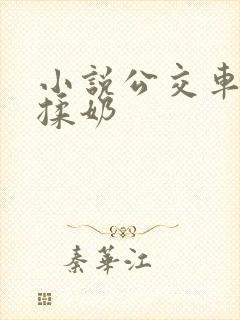 小说公交车摸逼揉奶