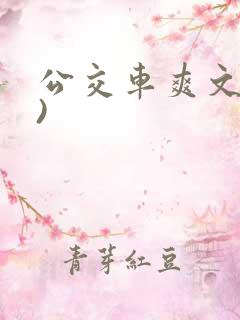 公交车爽文短篇)