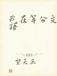 我在等公交车英语