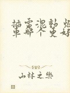插电混动 燃油车哪个更好些