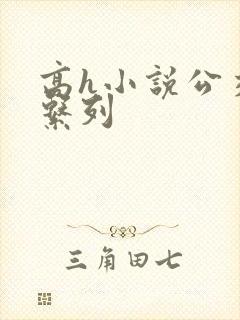 高h小说公交车系列
