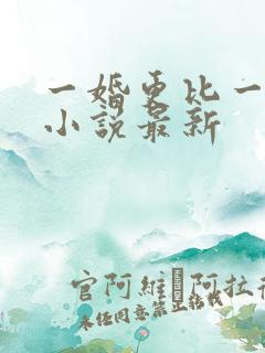一婚更比一婚高小说最新
