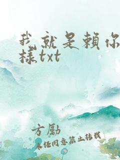 我就是赖你 怎样txt