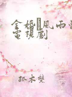 金婚·风雨情 电视剧