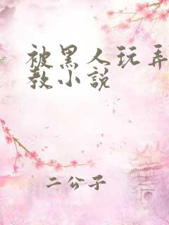 被黑人玩弄h调教小说
