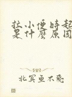 拉小便时起泡泡是什么原因