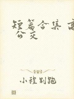 短篇合集 高h 公交