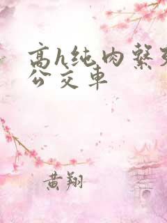 高h纯肉系列h公交车