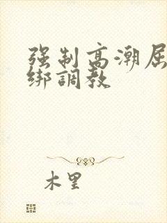 强制高潮屈辱捆绑调教