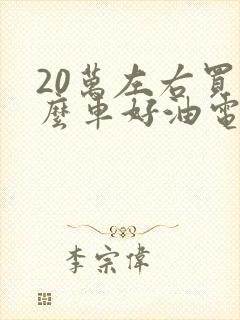 20万左右买什么车好油电混合