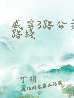 威宁3路公交车路线