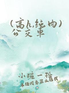 (高h,纯肉)公交车