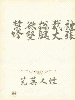 禁欲总裁被C呻吟双腿大张